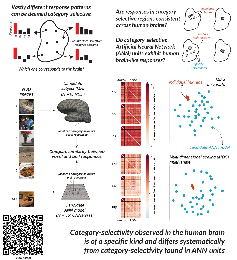 Poster summary: comparing category-selective fMRI responses in FFA, EBA, and PPA to ANN units; human responses cluster while model responses scatter.